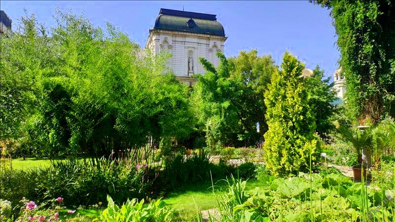 Sofia-flat-gradinka-durveta-hrasti-zelenina(